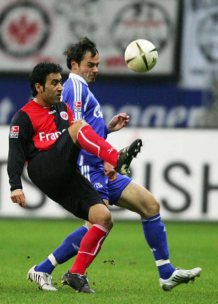 马卡比引进 马卡比引进